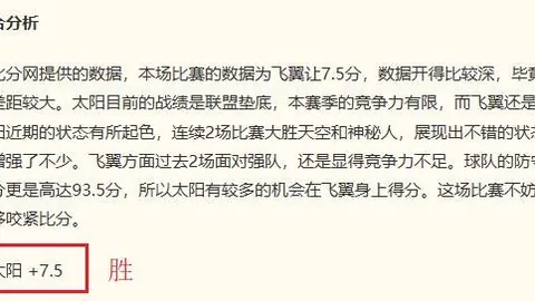 流量密码解析：飞翼对决自由人深度分析