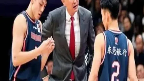 生力啤对决汇众光纤：全面数据解读指南